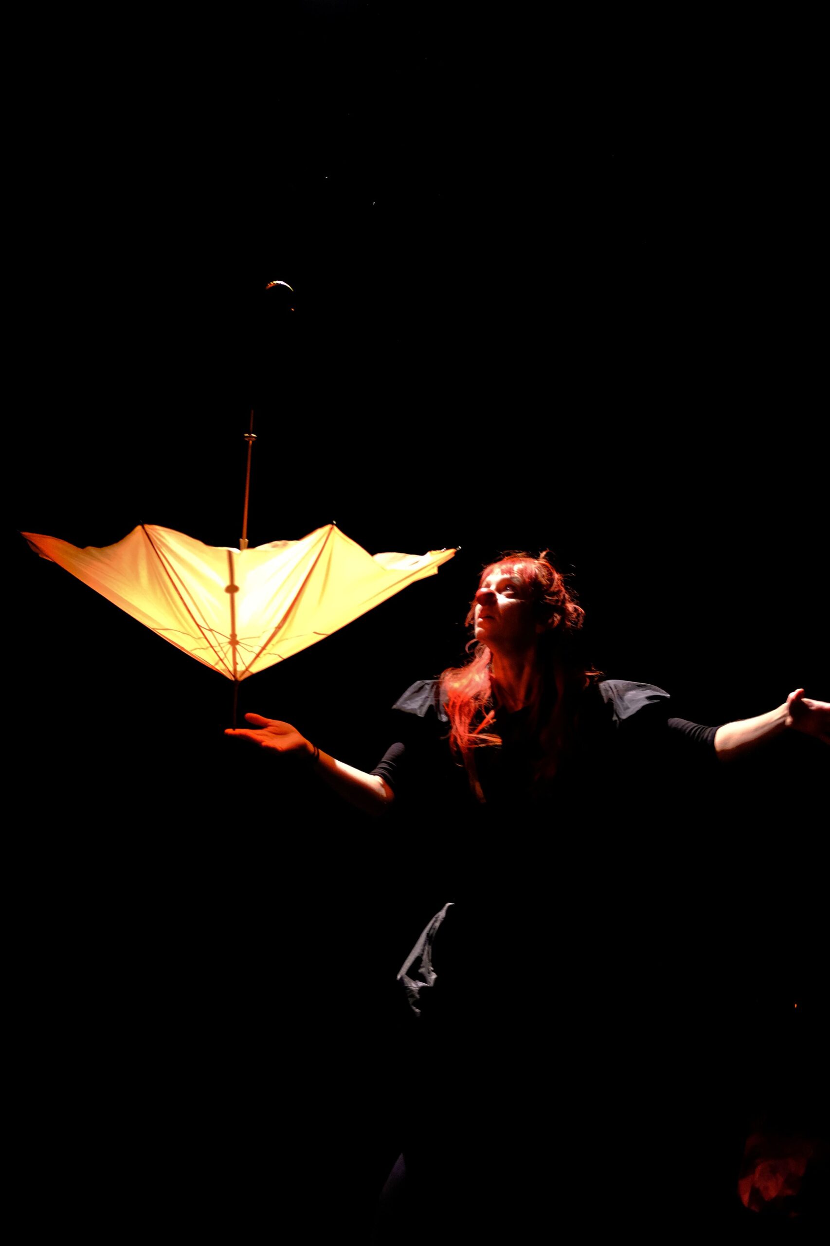 VARIATIONS POUR UN PARAPLUIE